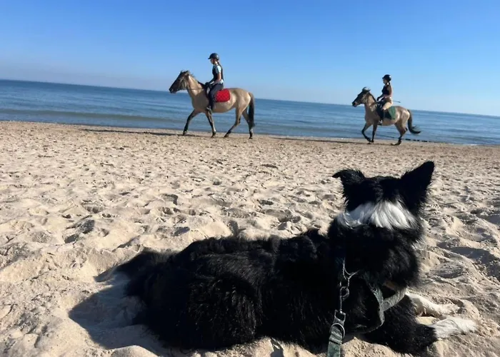 度假居 Haus1 Mit Wasserblick By Interhome