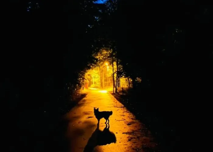 Haus1 Mit Wasserblick By Interhome Sarbinowo