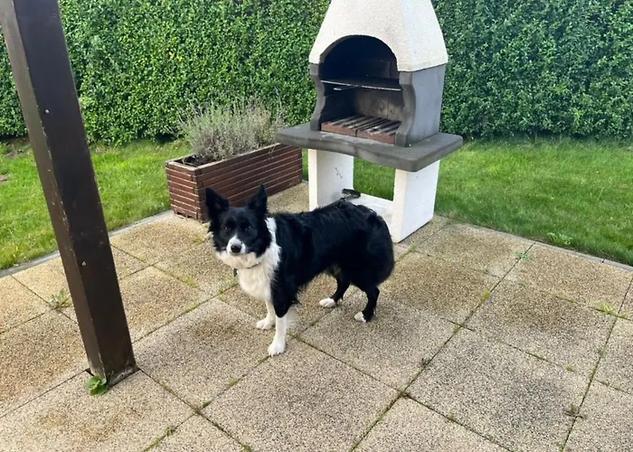 Haus1 Mit Wasserblick By Interhome Sarbinowo